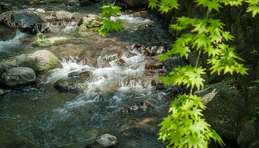 A hot springs retreat amid seascapes and lush trees