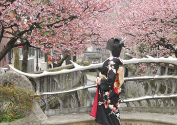 Ito River Walking and Atami Cherry Blossoms
