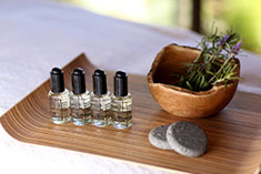 THE SPA ESSENTIAL BODY TREATMENT